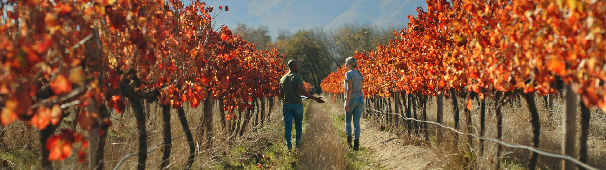 Diverse couple walking through autumn coloured trees