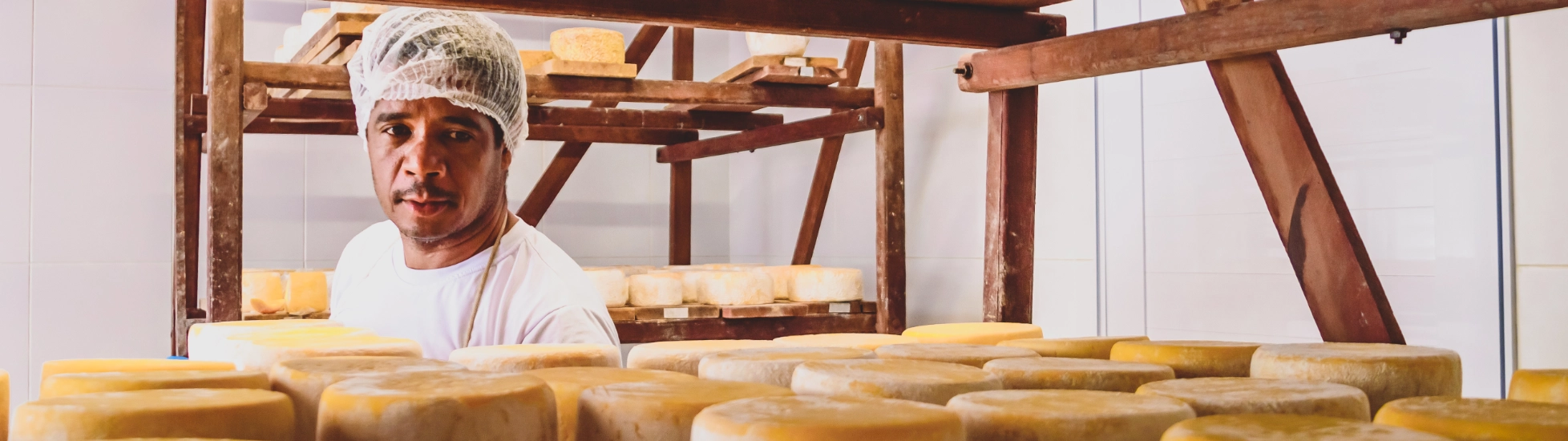 Worker examining rows of cheese on a shelf